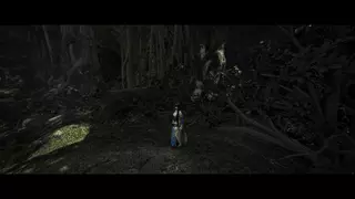 暴风之流长剑 重制版(LS)