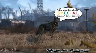 S.P.E.C.I.A.L. 狗肉的犬类服装