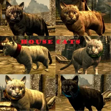 (ESP-ESL) 猫咪王国 SE