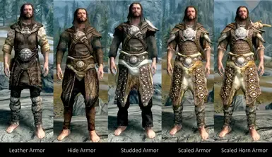 温暖 - 轻甲替换版 SSE