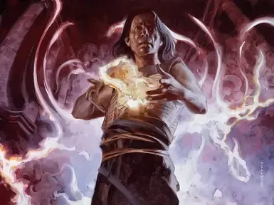 狂野魔法模组职业