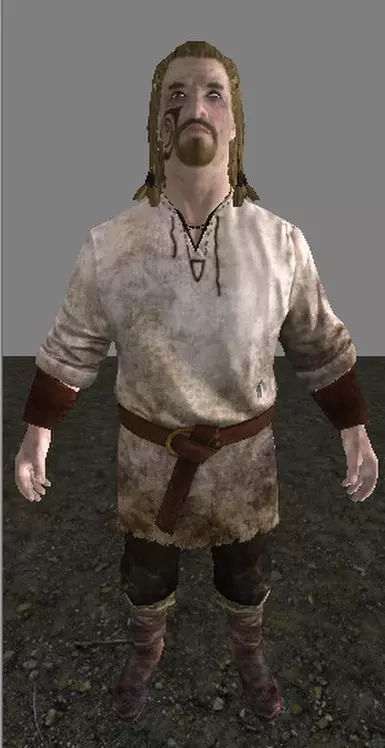 侍卫随机服装