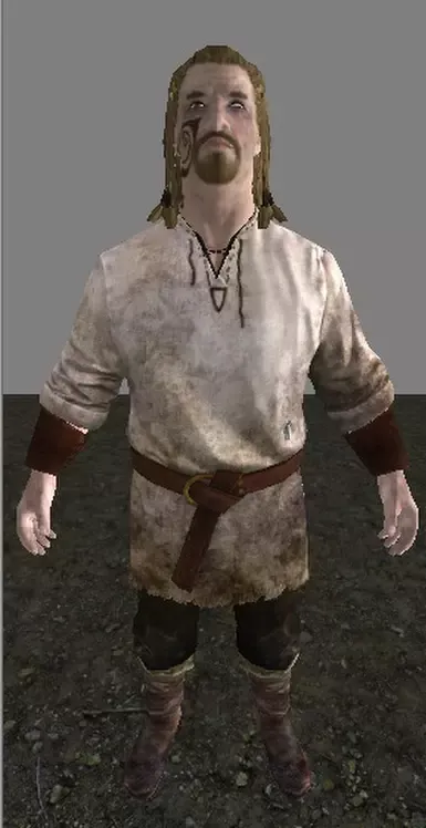 侍卫随机服装