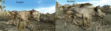FNV 生物AI高清化 - 生物纹理重制