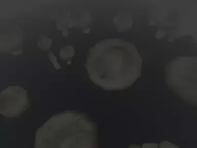 沼泽巨人房屋