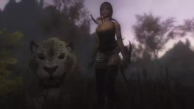 SSE 奥古兹卡甘动物追随者 V1.4