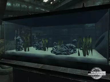 水族馆
