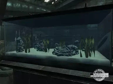 水族馆