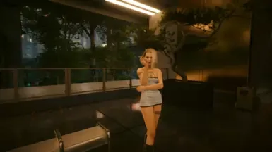 珍妮预设