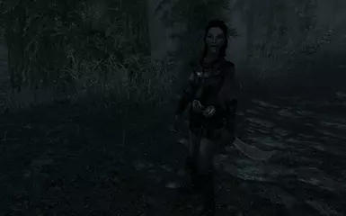 梅拉·夜莺 新NPC 流浪雇佣兵 阿尔法1_0