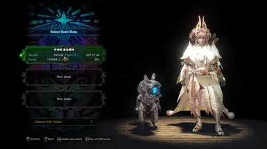 水兽X 雌性 剑士护甲