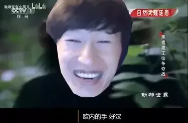 奥托 巨剑