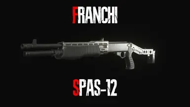 弗兰基 Spas-12