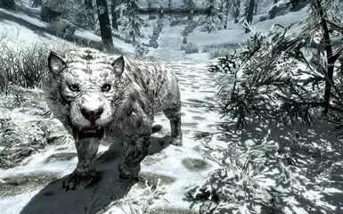 Jango PET-MOUNT 剑齿虎 2_5 固定版