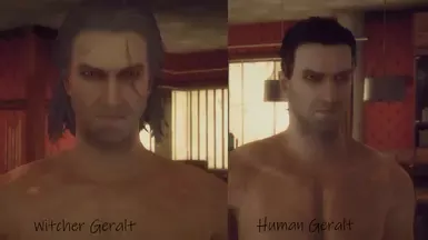 杰洛特种族 FNV