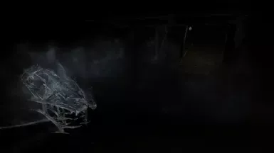 蜘蛛到冰怨灵