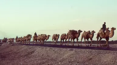 扩充商队成员上限