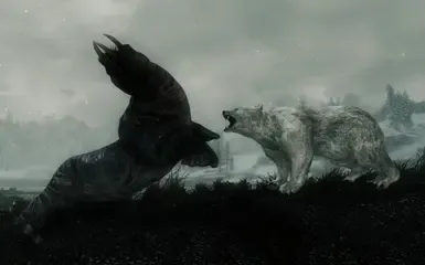 北方真正的熊 SSE版