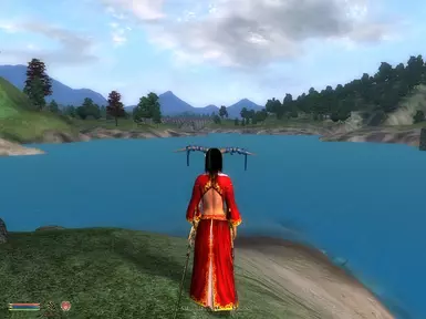 真实的水