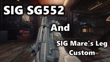 SIG SG552 与 SIG 马腿定制版