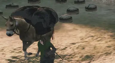 商队提供贸易经验