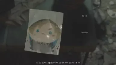 克劳萨照片替代品 - 里昂毛绒玩具