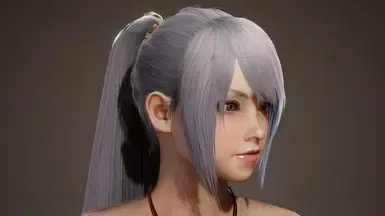 更长的马尾发型(冰原DLC后)