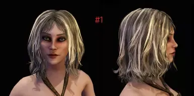Shinov预设