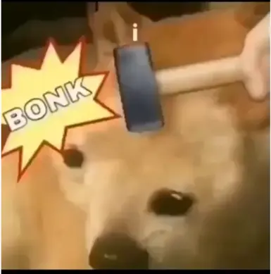 KOtoBonk