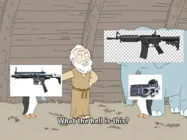 AR57 个人防卫武器
