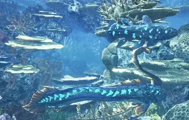 海领主石化冠鱼