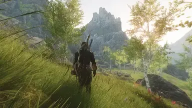 艾默尔的庇护所 SE