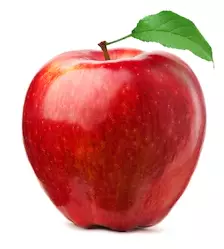 适用于狂骨号角及其变种(雷狼龙、麒麟等)的iPhone铃声