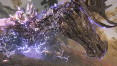 坚韧之龙
