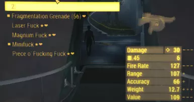SMG 伤害提升