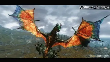 1
Bellyaches New Dragon Species SSE