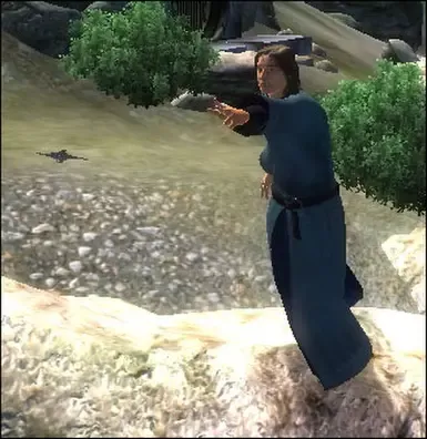 飞镖，又称手里剑