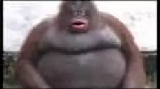 哎呀臭臭 粪球