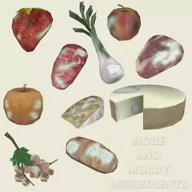 Q  更多与发霉的食材 v11