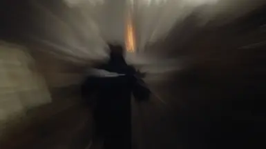 精准迪特曼