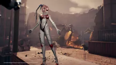 EVE VIP护卫队套装