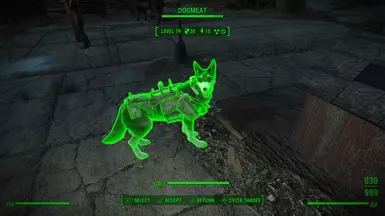 装甲犬护甲