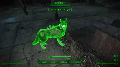 装甲犬护甲