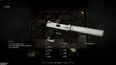 CS2-USP-S 印花流