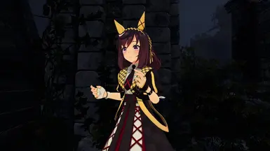 赛马娘-美好愿景