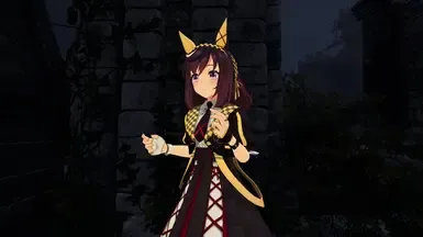 赛马娘-美好愿景