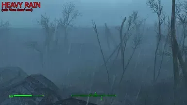 暴雨