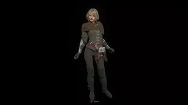 阿什莉英雄版