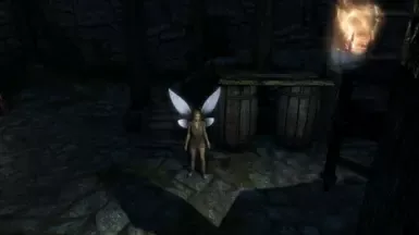 精灵种族