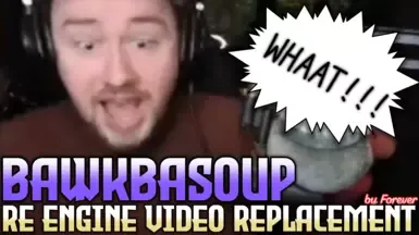Bawkbasoup RE引擎视频替换